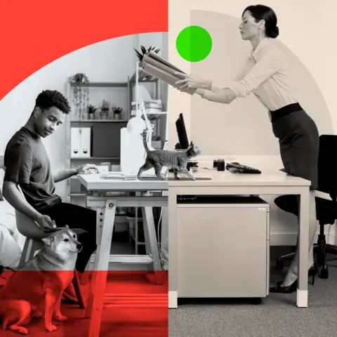 BBC Montage Image: On the left side a man works from home at his desk, and pets a dog. On the right side a woman stands at her desk in an office environment, and passes a file through to the man working from home. A cat crosses the divide between the two images.