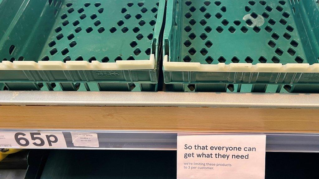 Empty tomato crates at Tesco